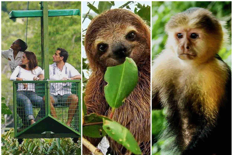 Panamá: Buffet, Teleférico, Paseo en Barco por Gatún, Santuario de los PerezososPanamá: Teleférico, tour en barco por Gatún y Santuario de los Perezosos