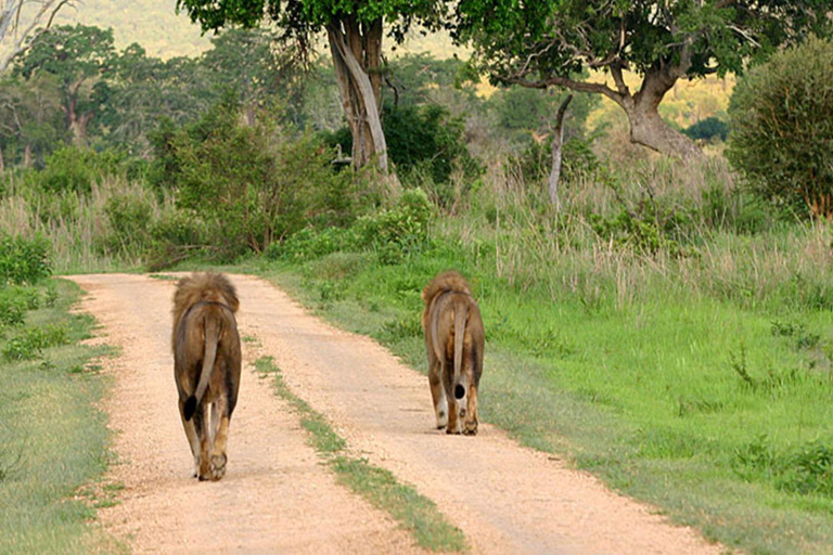 7-Day Safari Mikumi, Selous Game Reserve and Zanzibar Beach