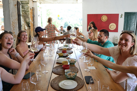 Porto: DOURO VALLEY i AMARANTE Wycieczka półdniowa po mieście
