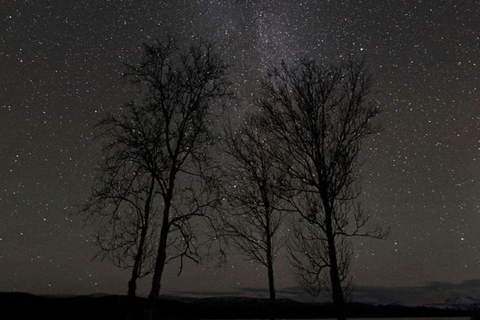 Night Star Walk on Snowshoes in the Finnish Wilderness