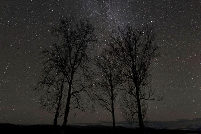 Night Star Walk on Snowshoes in the Finnish Wilderness