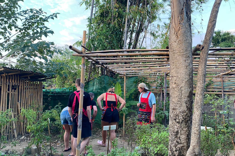 Chiang Mai : Cours de cuisine, visite du marché et du jardin d'herbes thaïlandaises