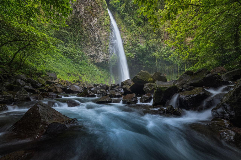 COSTA RICA:UPPTÄCK COSTARICAS VILDA DJUR-STRAND &amp; SKOG 2VECKOR