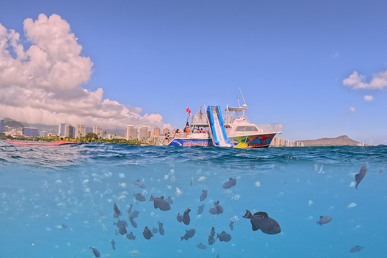 Honolulú: Crucero de lujo con snorkel y vida salvaje por WaikikiHonolulu: Crucero de lujo con snorkel y vida salvaje por Waikiki