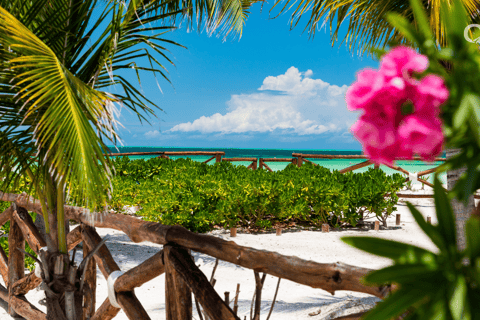 Tour to Holbox from Cancun Riviera Maya and Playa del Carmen