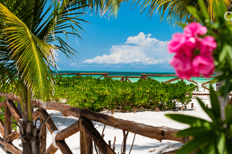 Holbox Boat Trip