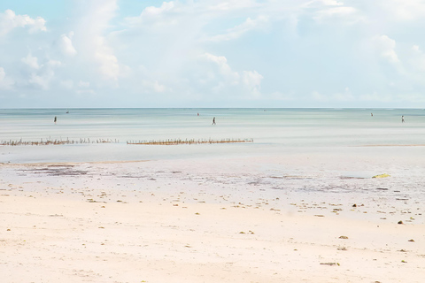 Zanzibar: jednodniowa wycieczka do Muyuni, Paje i centrum wodorostów