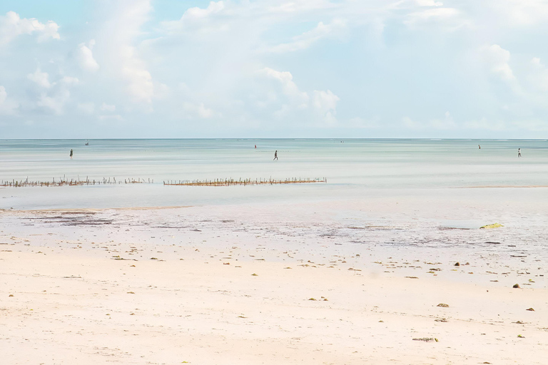 Zanzibar: tour di un giorno di Muyuni, Paje e centro di alghe marine