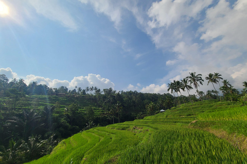 Bali Hidden Trekking, Wasserrutsche, Sekumpul, &amp; Fiji WasserfallAbholung vom Hotel und Rücktransfer zum Hotel inbegriffen