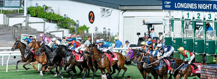 Visite guidée de l'Hippodrome du Jockey Club de Hong Kong avec restauration et boissons