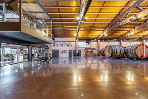 Tarragona: Bodegas Yzaguirre guided tour with vermouth tasting Guided tour and tasting of 5 vermouths with a paired appetizer