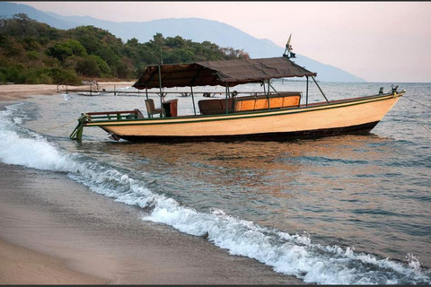 KIGOMA: Chimpanzees trekking Day Trip in Gombe national park Private Chimpanzee Trekking with Hotel Transfer and Lunch