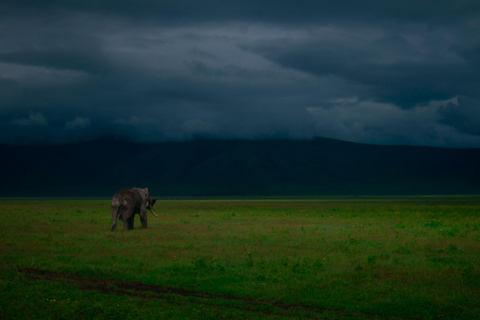 Tanzania: 2-Day Budget Safari to Tarangire and Ngorongoro