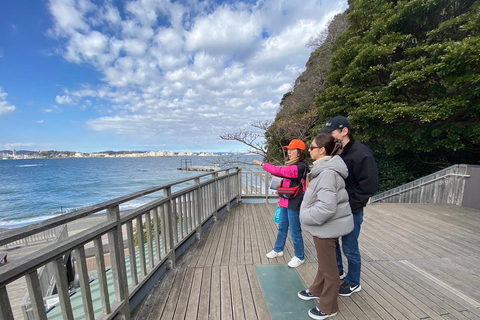 Yokosuka: Boat Trip to Natural Island and Naval Port Cruise