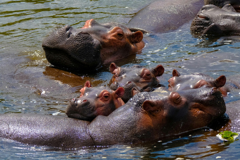 Naivasha: Boat Ride and Crescent Island Guided Tour