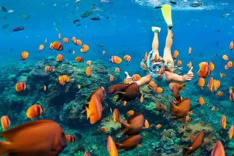 Sharm El-Sheikh hamn till Ras Mohamed nationalpark med bil