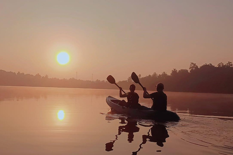 Mirissa: Whale Watching Boat Tour & Kayaking Experience Whale Watching Boat Tour only (With Entry Ticket)
