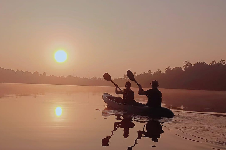 Mirissa: Whale Watching Boat Tour & Kayaking Experience Whale Watching Boat Tour only (With Entry Ticket)