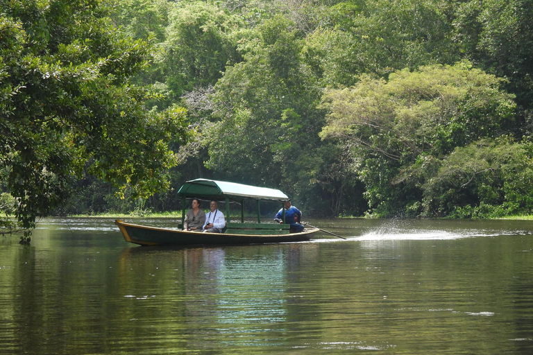 Amazon River and Monkey Island Day Tour