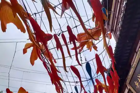4-Hour Private Shanghai Shopping Tour with Local Expert