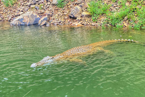 Hoedspruit: Blyde Dam Boat Cruise Blyde River Canyon: Blyde Dam Boat Cruise