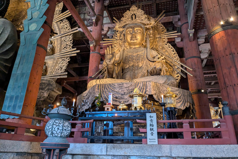 Private Nara Tour: UNESCO Heritage Sites & Deer Park Tour