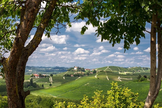 Gruyere village