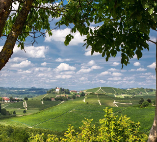 Gruyères image