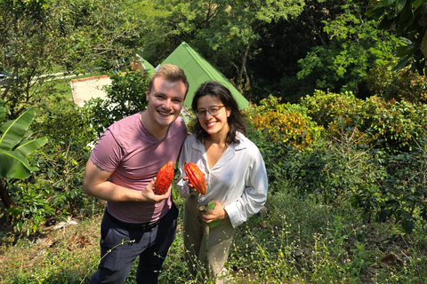 Medellin: Chocolate Farm Private Tour w/Workshop and Tasting