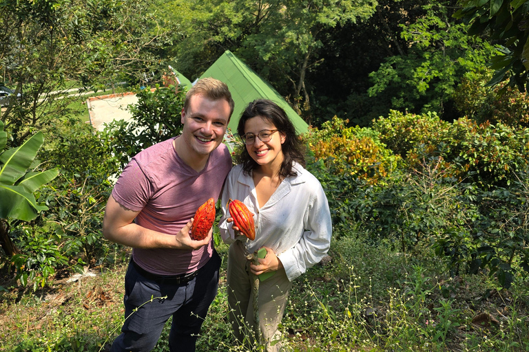 Medellin: Chocolate Farm Private Tour w/Workshop and Tasting