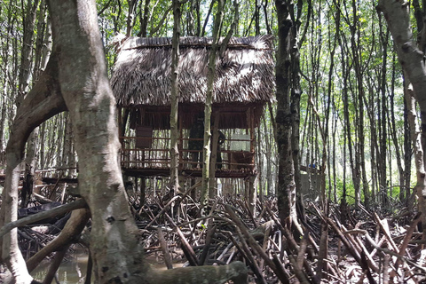 Från Ho Chi Minh: Can Gio MangroveskogFrån Ho Chi Minh: Can Gio apö- mangroveskogreservat