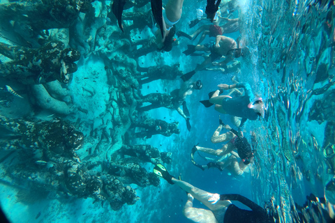 Lombok: Gili Islands Snorkeling Tour with Hotel Pickup Provate snorkling gili island with camera underwater