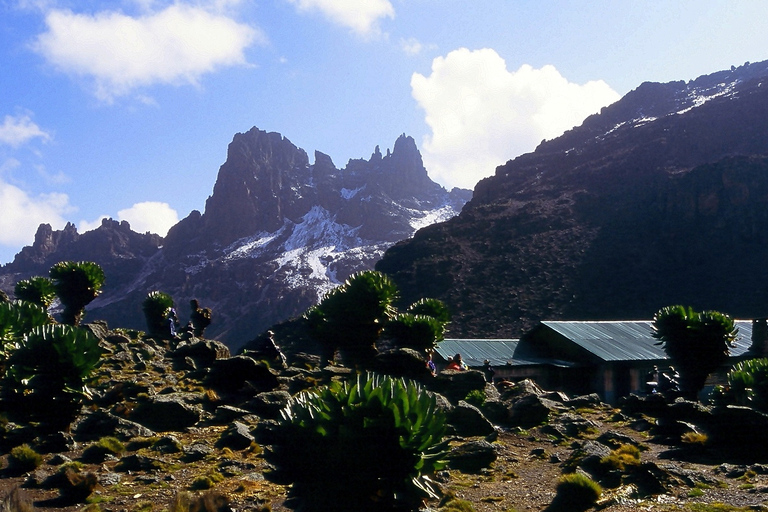 Privat vandringstur till Mount Kenya