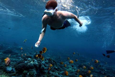 Nusa Penida: Snorkeling Adventure at Manta Point Sharing Boat: Manta Point & Gamat Bay Adventure