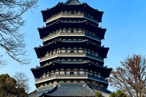 Hangzhou Zen and Pagoda Shadows One-Day Tour