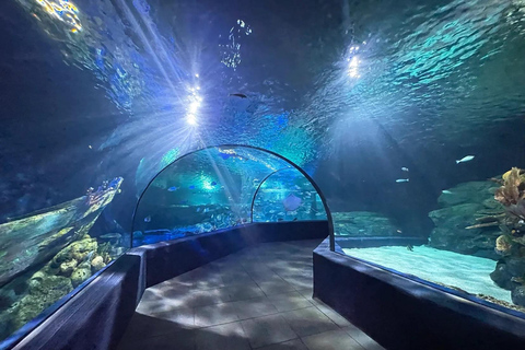 Siem Reap: Angkor Wildlife & Aquarium Entrance Ticket