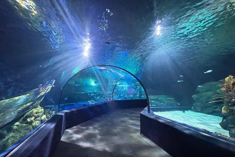 Siem Reap: Angkor Wildlife & Aquarium Entrance Ticket