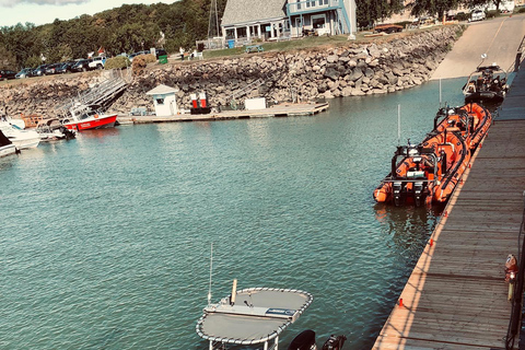 Guided cruise to discover Orleans Island and Quebec City