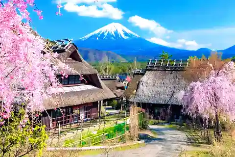 Mount Fuji Panoramic View Full Day Tour From Tokyo