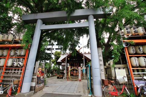 Tokyo : Tsukiji Fish Market Food Walking & Shrine Visit Tour