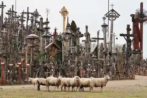 De Riga: Visita à Colina das Cruzes e às jóias de Jelgava