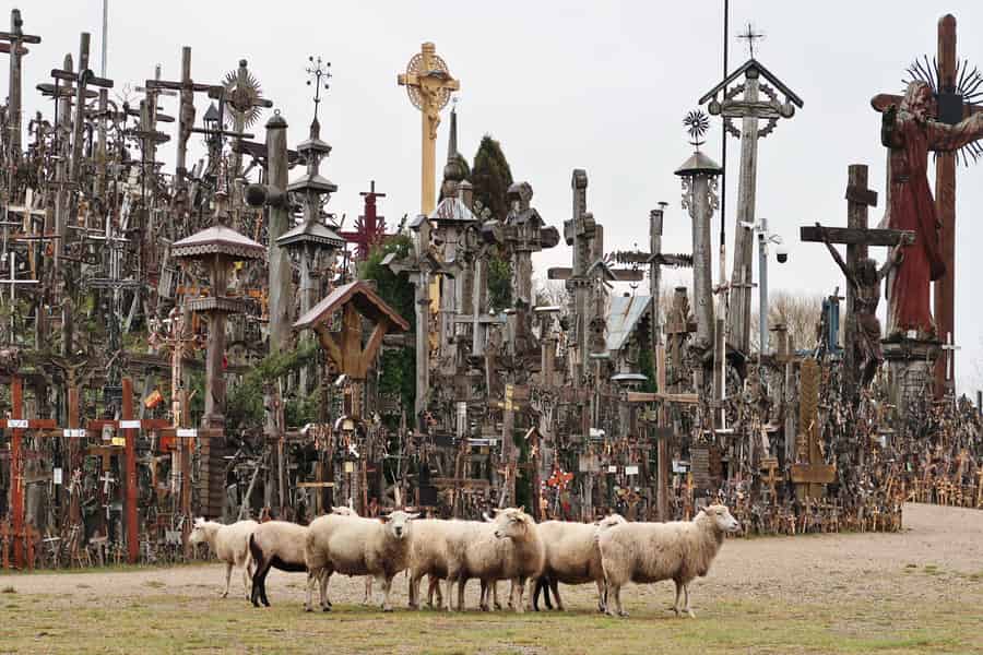 Ab Riga: Tour zum Berg der Kreuze und zu den Edelsteinen von Jelgava. Foto: GetYourGuide