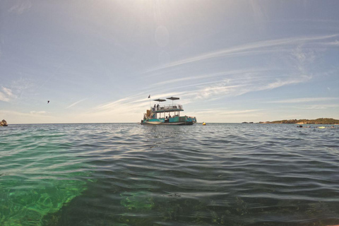 Rockingham: Crucero con esnórquel por la fauna de 3 islas con almuerzo