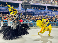 Rio Carnival 2025, Sambadrome Parade + Transfer (Sector 7) - Housity