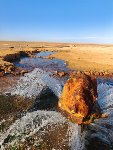 DJERBA: desert day in Ksar ghilen,Star wars and Matmata