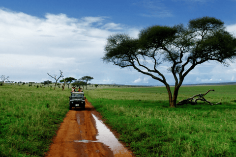 Ngorongoro Crater: Day Tour with Wildlife Safari