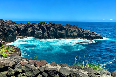 Small Group Day Tour:Omuro Mountain & the Izu Scenic Railway Hotel Transfer Option