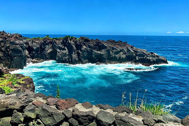 Small Group Day Tour:Omuro Mountain & the Izu Scenic Railway Hotel Transfer Option