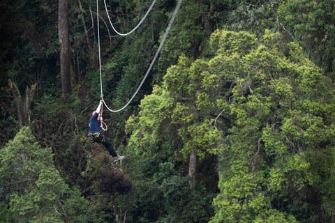 Nyungwe Forest: Zipline Adventure and Canopy Walkway