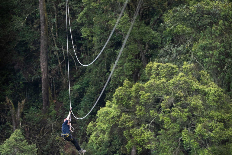 Nyungwe Forest: Zipline Adventure and Canopy Walkway